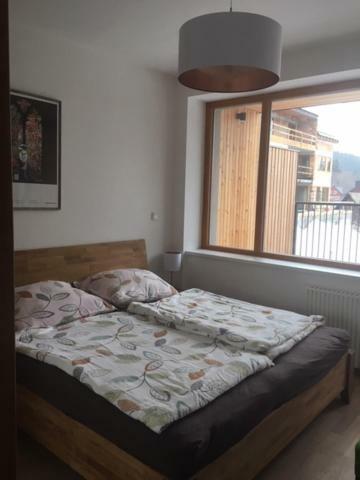 Apartman Cihadla Bedřichov Exterior foto